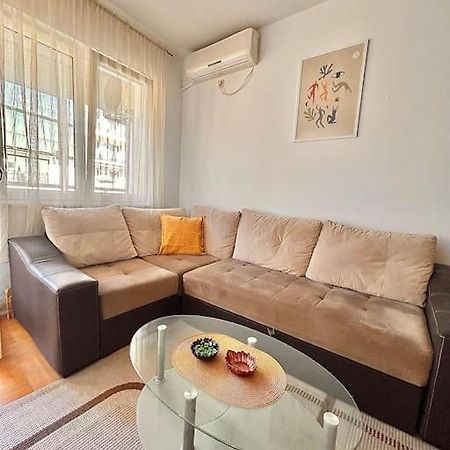 Cozy, Charming One Bedroom Apt Podgorica Buitenkant foto